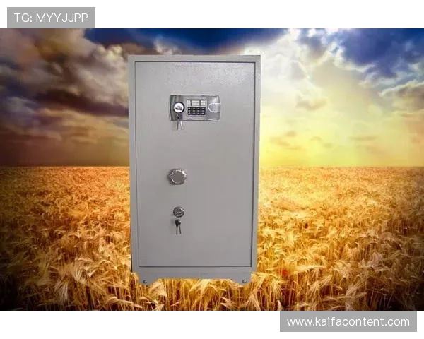 凯发K8官网网页版的最新安全防护措施，保障玩家个人信息与交易安全