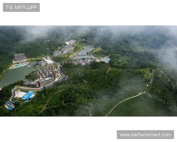 凯发真人集团怎么样:促销活动与会员福利的实际效果评估 凯发真人集团怎么样:促销活动与会员福利的实际效果评估